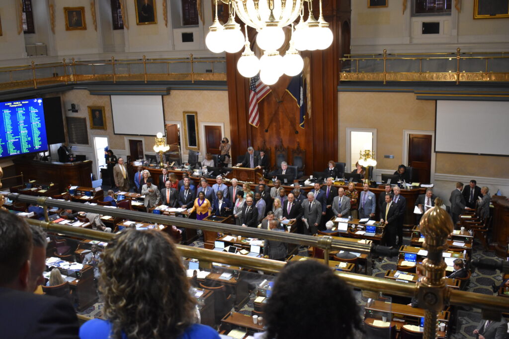 Representatives of the House and Senate came forward in the gallery to face and applaud the gathered mental health advocates.